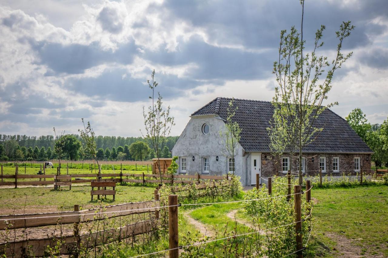 B&B Hoeve Klein Haneveld Sint-Oedenrode Exterior foto